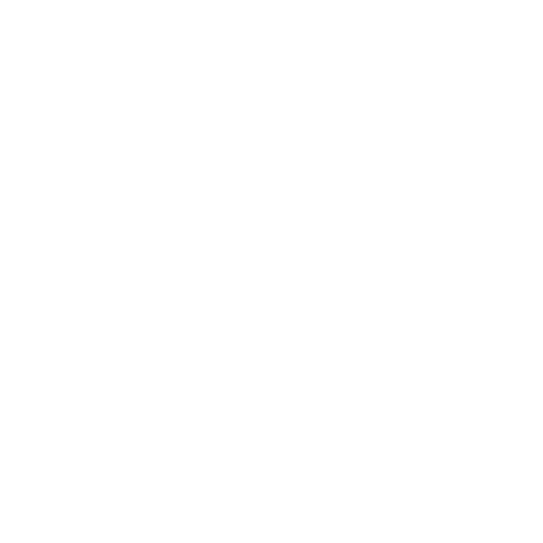 Detroit Tigers
